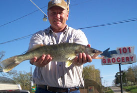 Fisherman with shows off walleye caught in Norfork Lake