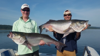 Fishermen with two huge Norfork Lake striped bass.