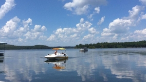 Boats on Norfork Lake