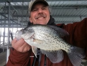 Man with Crappie fish Norfork Lake