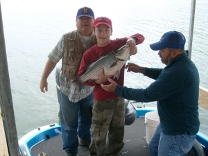 Boys and dad with striped bass at Norfork lake.