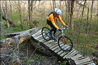 Trail biking at Norfork lake