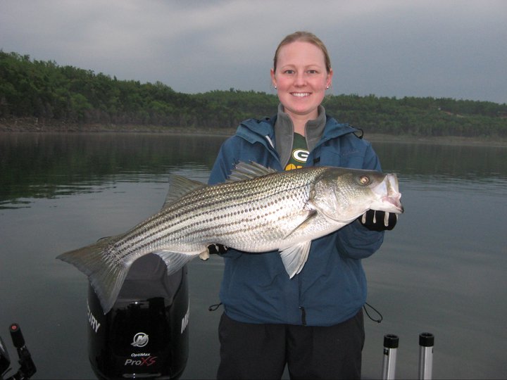 https://www.norforklakefun.com/wp-content/uploads/2018/10/Norfork-Lake-Fun-Big-Net-Fishing.jpeg