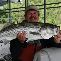 Fisherman with striped bass