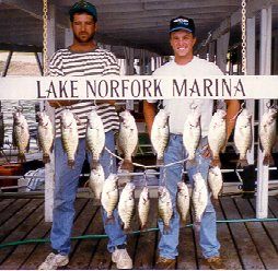 Two fishermen with big stringer of crappie