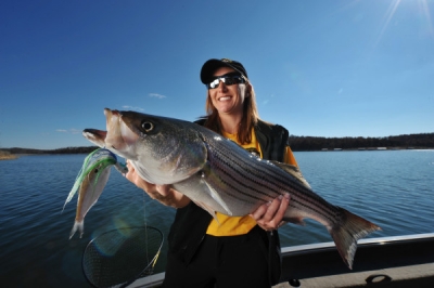 Striped Bass fishing on Norfork Lake