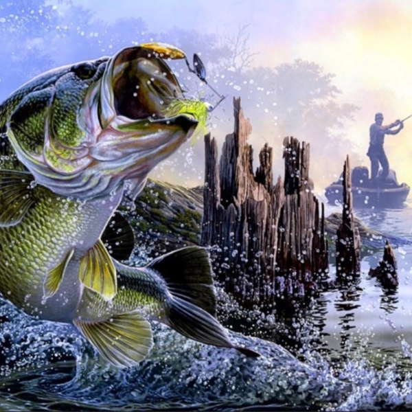 Cystic Fibrosis Buddy Bass Tournament On Norfork Lake